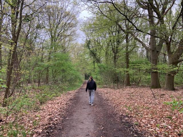 Stacaravan Huren In Het Hart Van Bosrijk Drenthe Op Recreatiepark De Tien Heugten Schoonloo Екстериор снимка