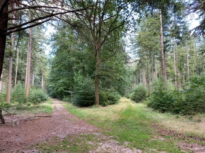 Stacaravan Huren In Het Hart Van Bosrijk Drenthe Op Recreatiepark De Tien Heugten Schoonloo Екстериор снимка