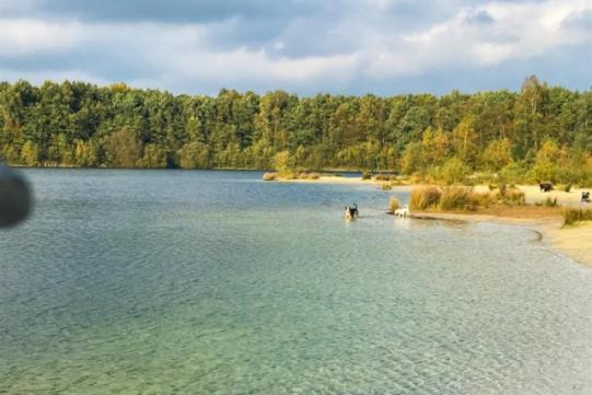 Stacaravan Huren In Het Hart Van Bosrijk Drenthe Op Recreatiepark De Tien Heugten Schoonloo Екстериор снимка